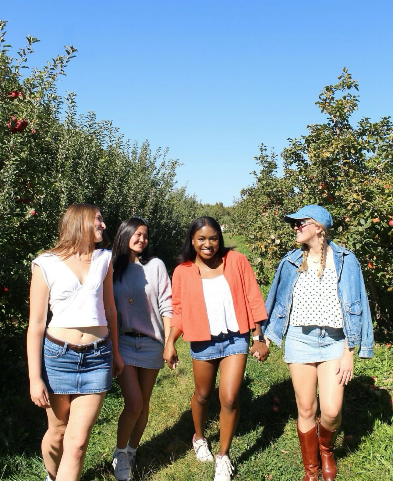 Four individuals walking through an apple orchard