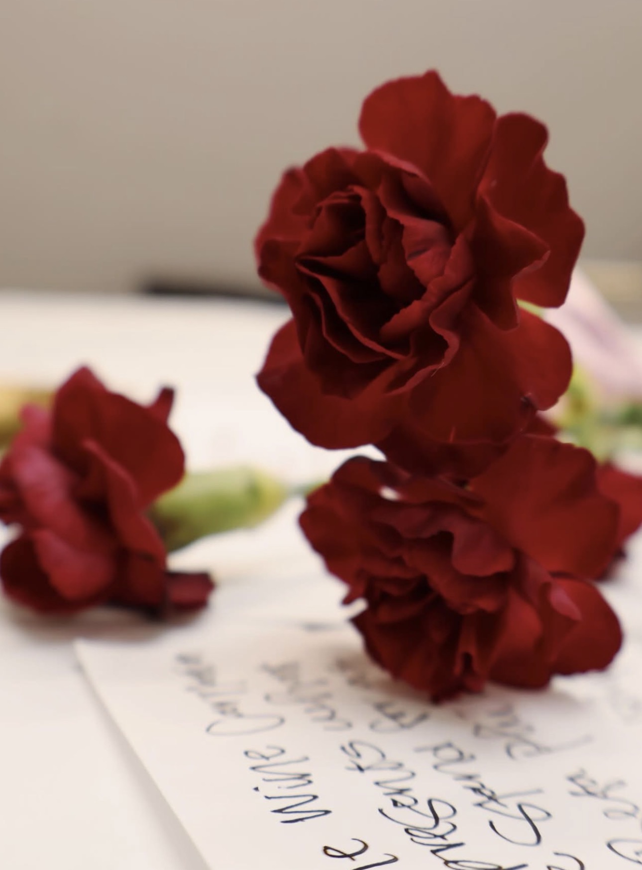 Three wine carnations stacked on a table