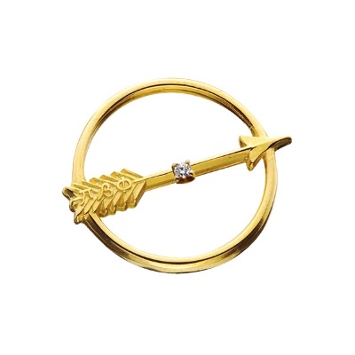 A circular pin with a golden arrow striking through it. There is a diamond in the middle